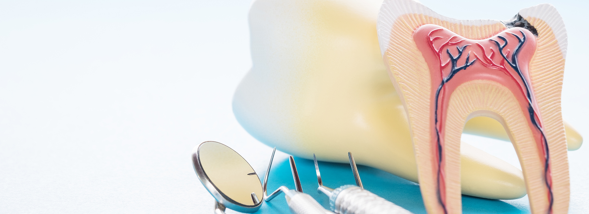 An image featuring a dental model with a toothbrush and toothpaste, set against a background that includes a medical illustration of teeth and gums.