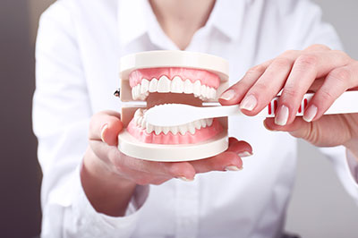 The image shows a person holding an open dental model, with a focus on the teeth and mouth area.
